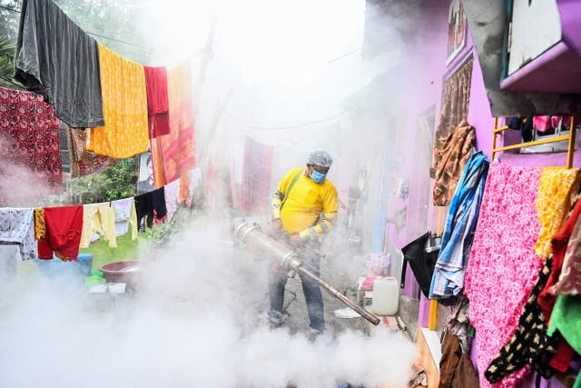 En arbeider desinficerer et område som et forebyggende tiltak mot myggfødte sykdommer i Kolkata