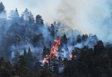 Wind-stoked wildfire causes death in Wyoming, evacuations