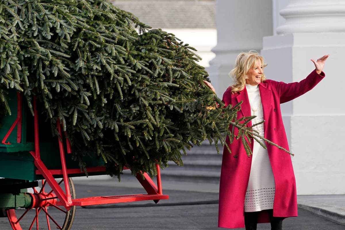 Twitter welcomes Jill Biden’s Christmas decorations after Melania’s ‘murder trees’