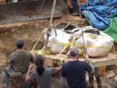 Remains of 30ft dinosaur unearthed in Missouri
