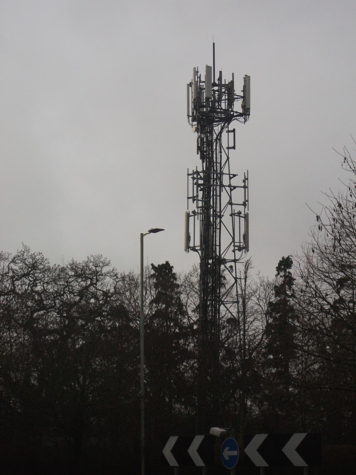 Government rejects calls for mobile phone mast overhaul