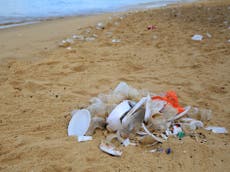 Beach litter at its lowest in 20 years due to plastic bans