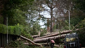 Residents clear branches from a fallen tree in Birkenhead, north west England as “Storm Arwen” triggered a rare “red weather” warning