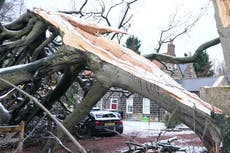 Engineers from across UK help restore power to homes after Storm Arwen damage