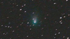 Stargazing in December: The Christmas comet is coming!