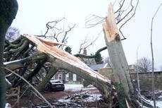 Storm Arwen’s impact on power network ‘unprecedented’, Matheson says