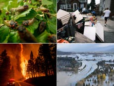 2021 marked another devastating year of climate disasters in North America