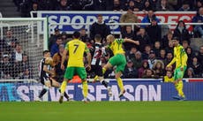 Teemu Pukki earns Norwich a point against 10-man Newcastle