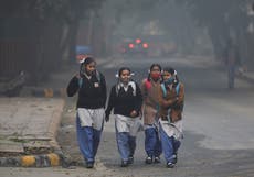 Delhi’s November air pollution the worst since records began