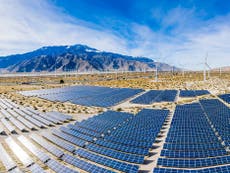 Renewable energy projects hit ‘all-time record’ in 2021