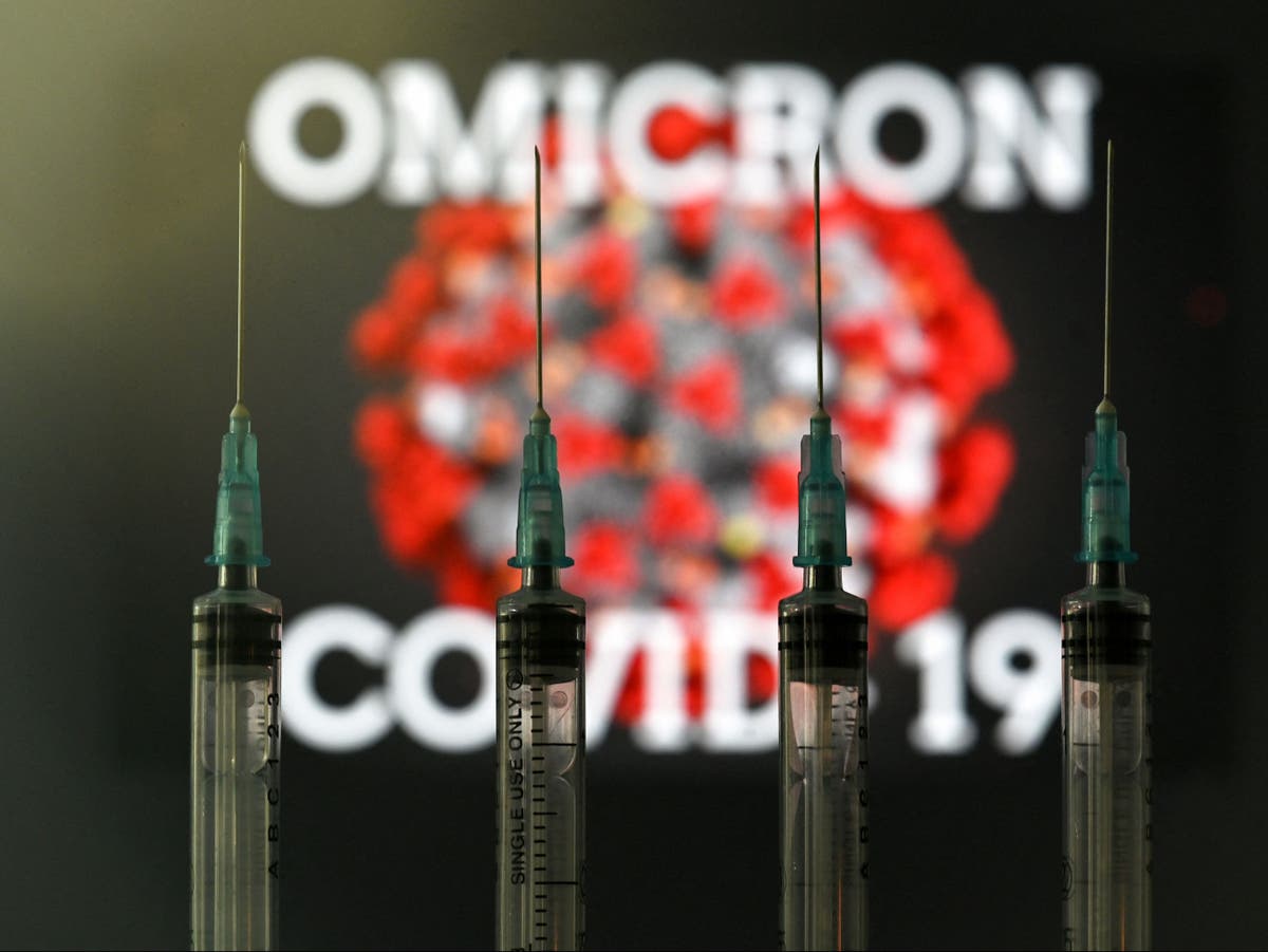 True threat posed by omicron ‘unlikely’ to be known until new year, 科学家说