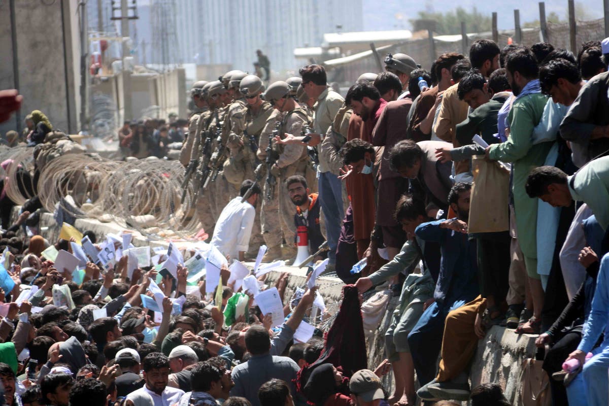 显露: 英国喀布尔撤离的混乱如何让阿富汗人死去