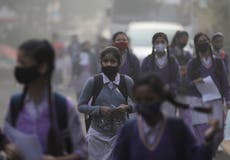 Pollution killed 2.3 million people in India in 2019, says Lancet study