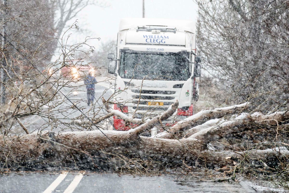 ‘Weather bomb’ forces schools to shut as snow and 68mph winds batter UK