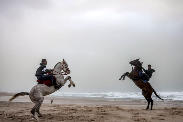 Youths rear their horses as they ride during stormy weather along a beach by the Mediterranean Sea in Gaza City