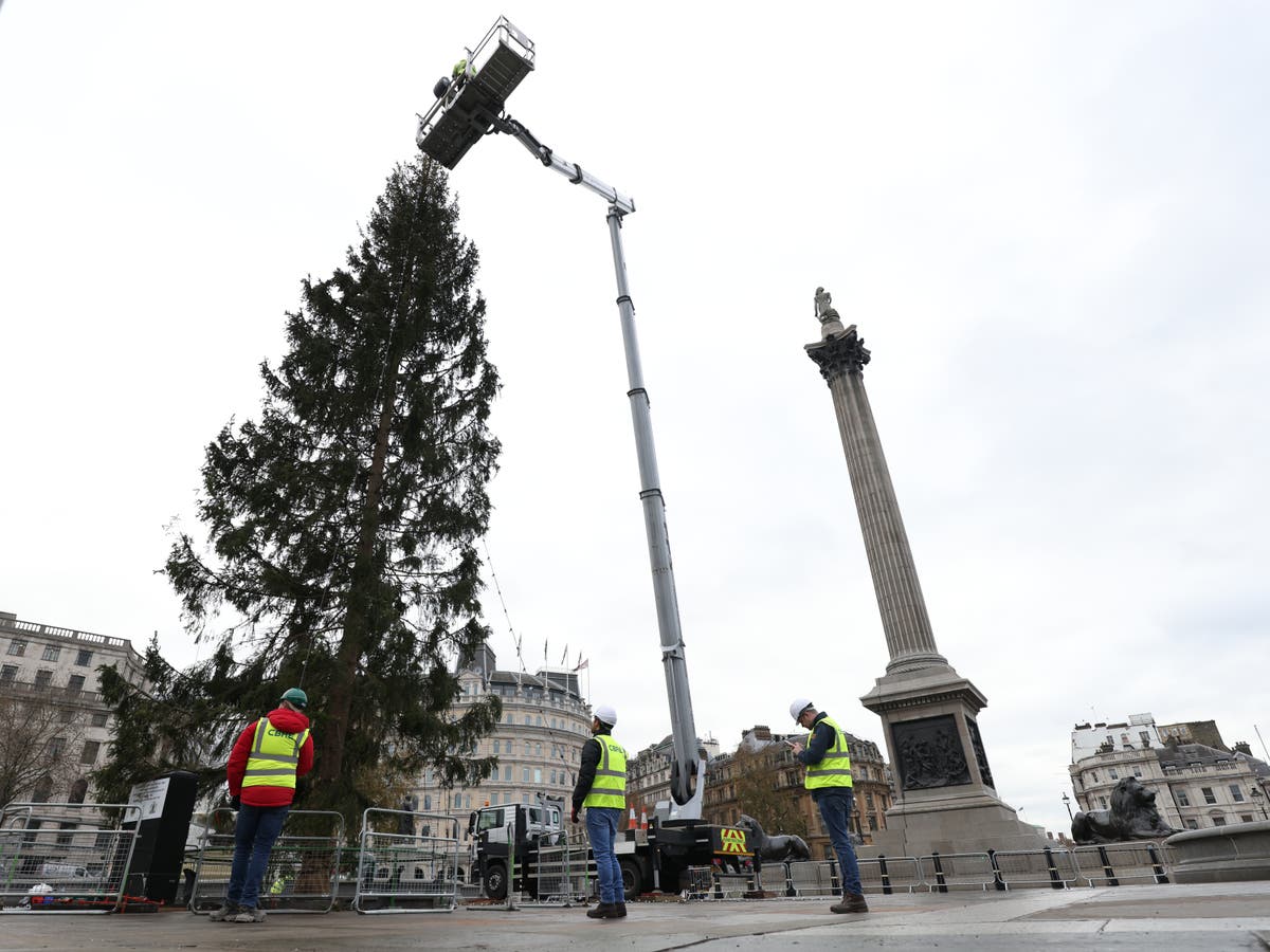 Norway will not send new Trafalgar Square Christmas tree funds after criticism