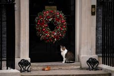 Downing Street Christmas party investigation will now look at three events, minister says
