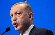 Turkey's Erdogan says social media a 'threat to democracy'