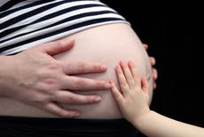 Pregnant women ‘should be regarded as risk group and be given vaccines quickly’