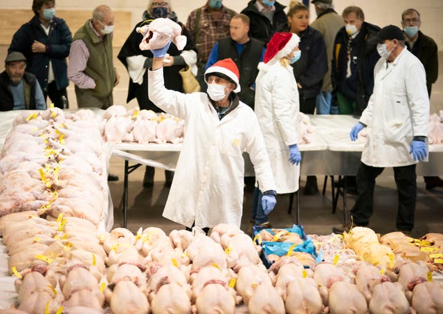 一名拍卖员工在默顿约克拍卖中心向参加圣诞家禽拍卖的买家和卖家展示家禽