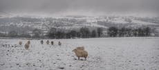Snow arrives on Boxing Day after Met Office issued weather warning