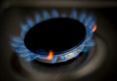 Government urged to tackle rising energy prices as ‘enormous crisis’ looms in 2022