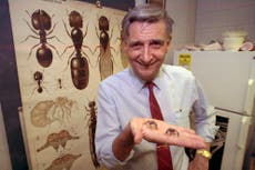 Edward O. ウィルソン, biologist known as 'ant man,' dead at 92