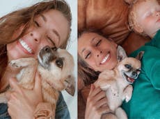 ‘Our hearts are broken’: Stacey Solomon reveals family dog Theo has died