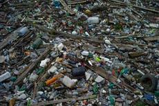 Half of Britons vow to use less plastic in 2022