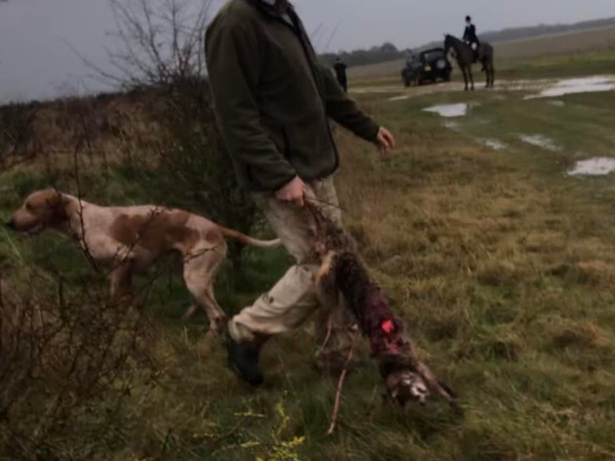 Hunt "matou duas raposas" em terras do governo no Natal 
