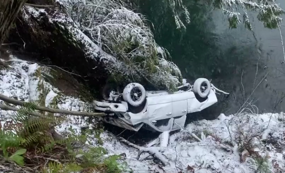 Tree saves woman who crashed car and flew 100 feet down a cliff