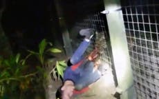 ビデオ: Zoo tiger shot while biting man's arm as he screams