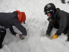 Two university students rescue dog trapped in avalanche