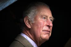 World on the brink, says Charles, as he praises both sons for climate work