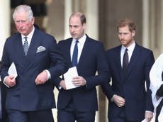 Prince Charles praises Prince William and Prince Harry in call to action about the climate crisis