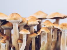 Magic mushrooms could treat PTSD and depression with no side effects