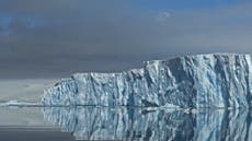 Antarctica’s ‘Doomsday Glacier’ shedding ice at fastest rate in 5,000 years
