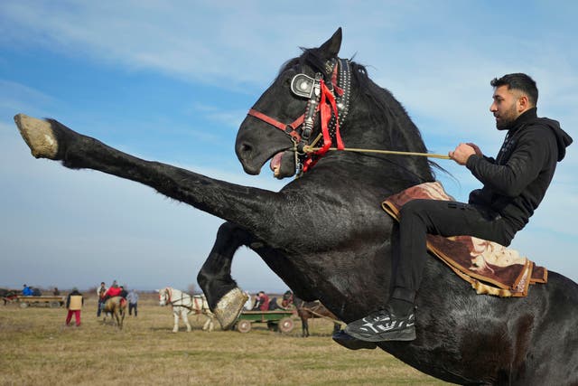 A man shows off riding skills during Epiphany celebrations in the village of Pietrosani, Romania