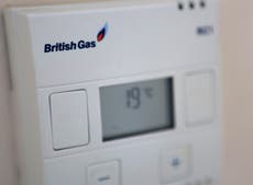 We don’t want a bailout says boss behind British Gas