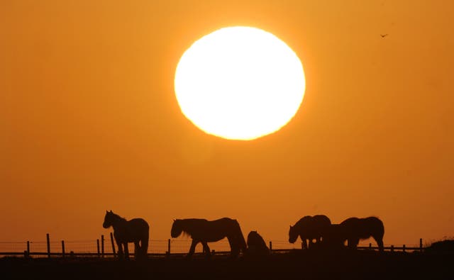 O sol nasce sobre cavalos em Seaton Sluice em Northumberland