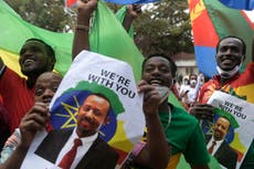 Ethiopian diaspora visit home to help country rebuild its image amid civil war