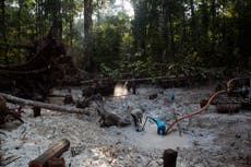 Tarnished Gold: Illegal Amazon gold seeps into supply chains