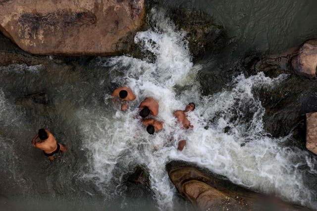 Hindu devotees take a dip in the waters of river Narmada in Budhni, on the occasion of Makar Sankranti, a day considered to be of great religious significance in Hindu mythology