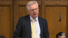 David Davis, the PM’s Brexiteer chum, delivers a killer blow | 汤姆派克