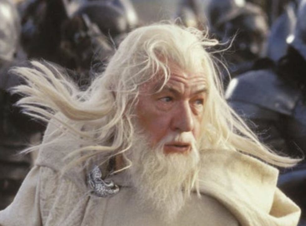 <p>Ian McKellen as Gandalf  </p>