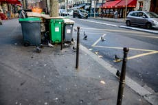 Paris commits to clean up in response to viral #TrashedParis hashtag