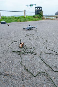Stranded dog rescued with sausage dangled from drone