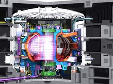 Scottish site in the running to become pioneering nuclear fusion station