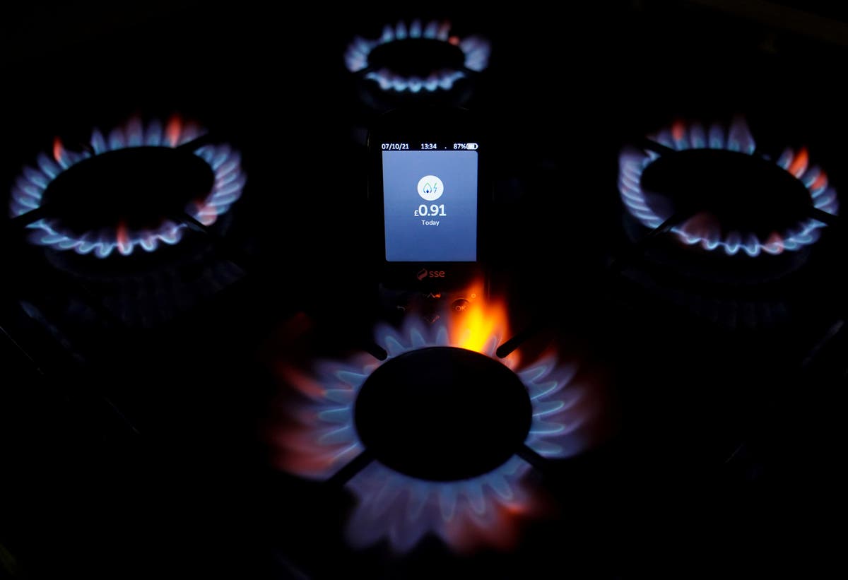 How to solve the energy crisis – and what to do if you can’t pay