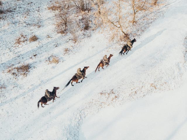 Horse patrol of the 2nd Lublin Territorial Defense Brigade on the border with Belarus in Wlodawa, Pole